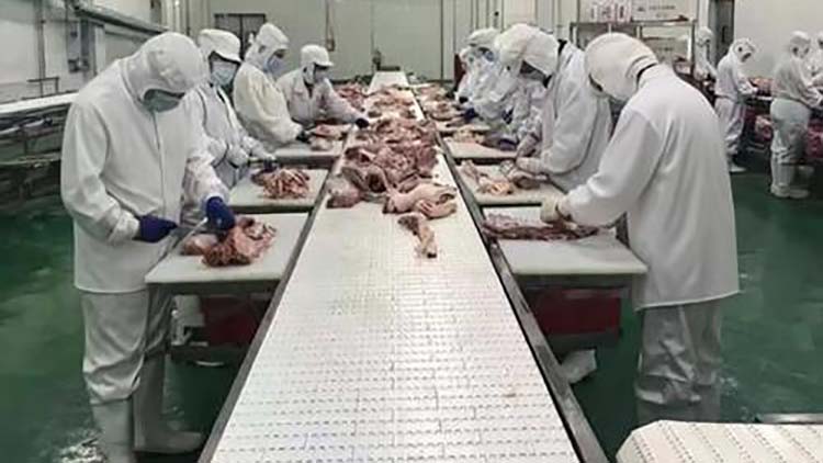 微信图片_20260130142717改