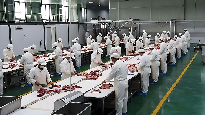 微信图片_20260130142717